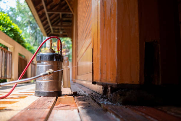 Best Affordable Pest Control Services  in Philippi, WV