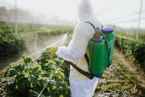 Best Best Pest Control Companies  in Philippi, WV